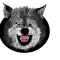 wolf-1856698_640 (2)